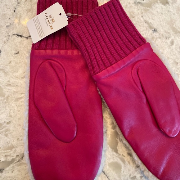 Coach mittens - Picture 4 of 5